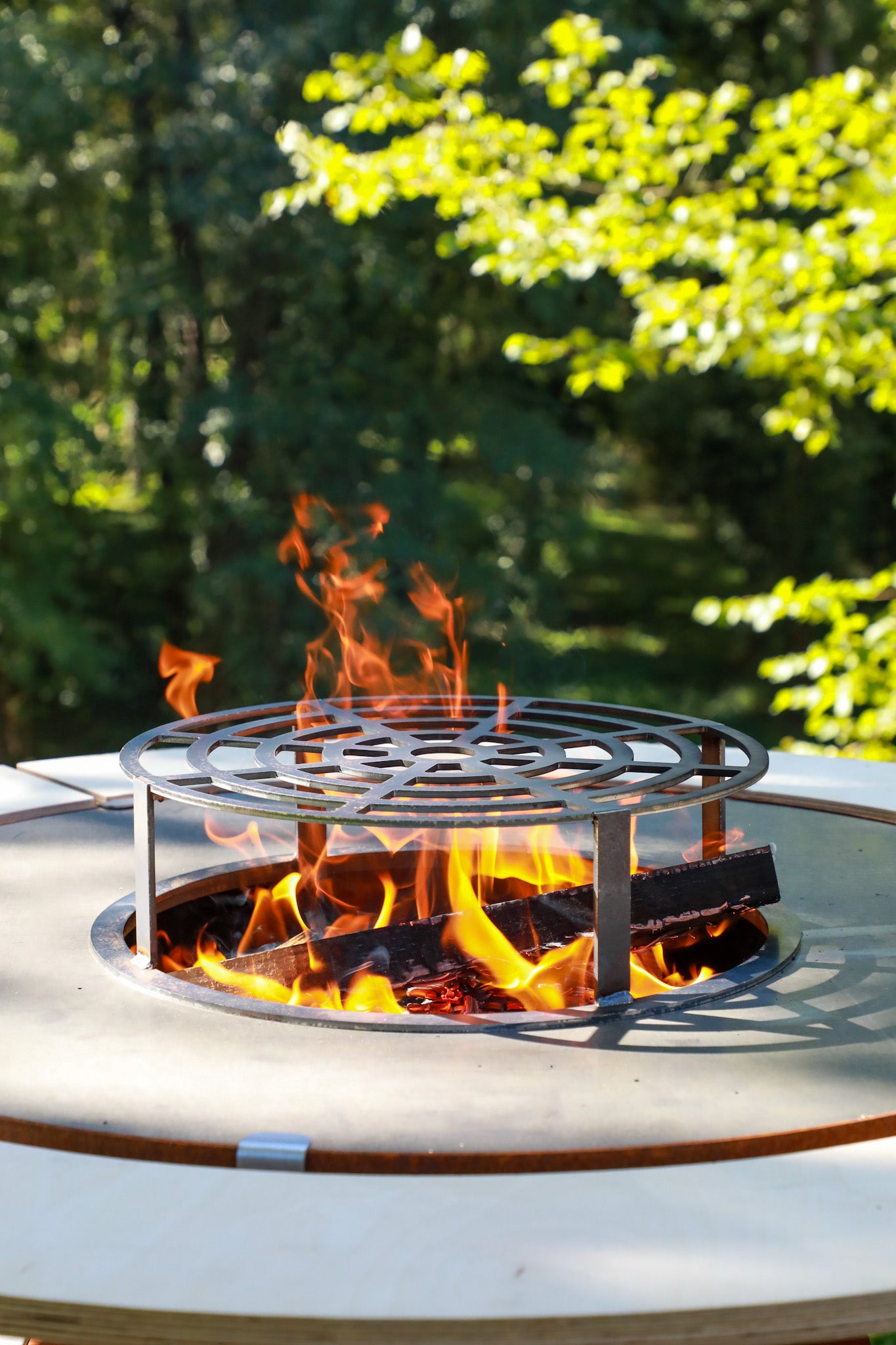 Grille de cuisson (Accessoire uniquement)